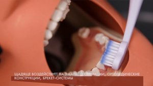 Звуковая зубная щетка: обзор