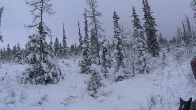 промысел 2021 2022 часть 3 смотреть онлайн