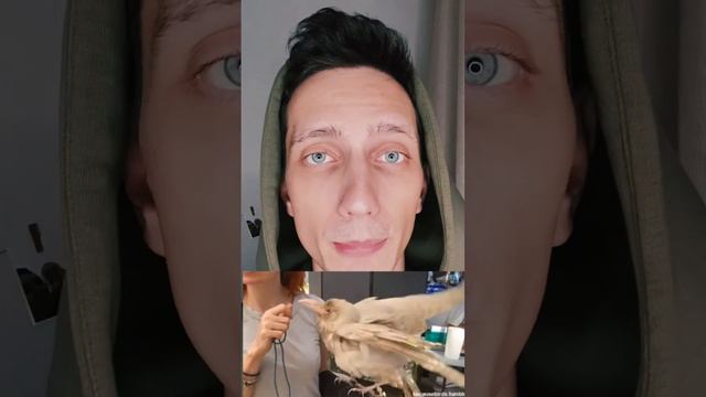 Откуда пошло выражение « Белая ворона»? #эндиястреб #интересное смотреть онлайн