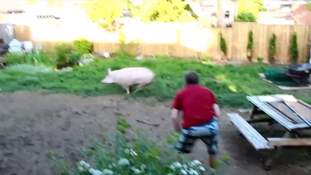 Turnip the Beet with Esther смотреть онлайн