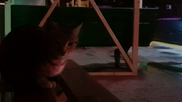 AutoGara Varna Night S10+ Test смотреть онлайн