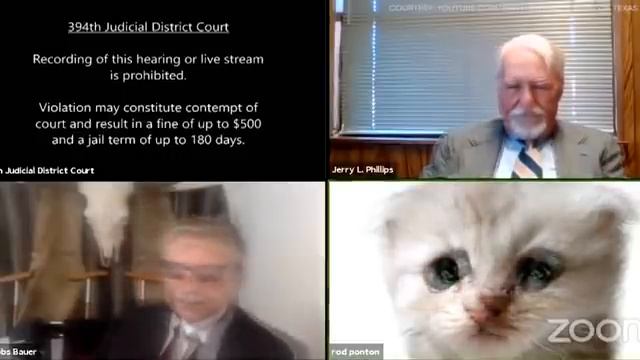 Attorney accidentally leaves cat filter on during Zoom call: 'I'm here live, I'm not a cat!' смотреть онлайн