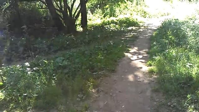 Кирилл Репьев. Босиком по лесу смотреть онлайн