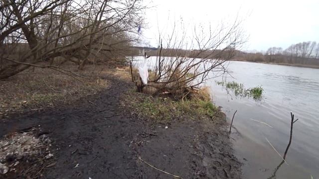 Вытащили сети, бешеные трофейные окуня, щука сошла сума! Буфалло на Москве реке!!! смотреть онлайн