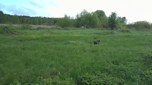 долго поднимала смотреть онлайн