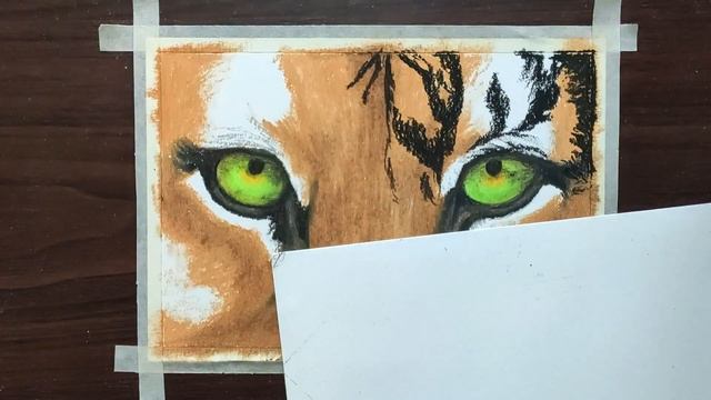 Tiger drawing with Oil Pastel / How to draw tiger eyes for beginners - Step by Step смотреть онлайн