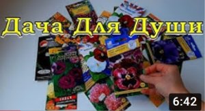 Что сеять в ЯНВАРЕ на рассаду? ЦВЕТЫ!???⚘?