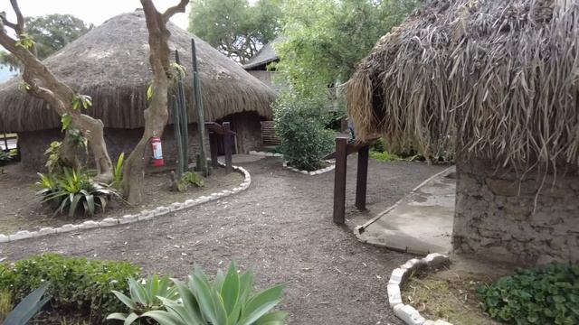 ЭКВАДОР: ПОТРЯСАЮЩИЕ ПТИЦЫ В МИНДО, ЛИНИЯ ЭКВАТОРА И ПРОГУЛКА ПО КИТО смотреть онлайн