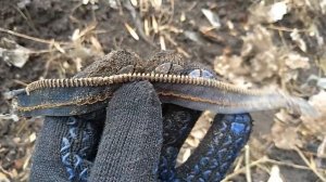 ПОИСК МЕТАЛЛОЛОМА БЕЗ МЕТАЛЛОИСКАТЕЛЯ. ГДЕ НАЙТИ МЕДЬ