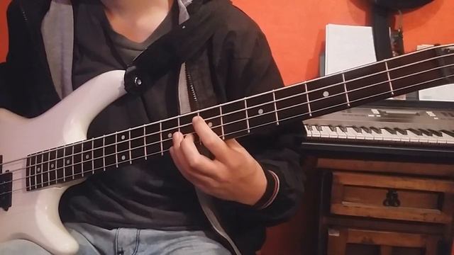 Roadhouse blues - The doors - Bass cover смотреть онлайн