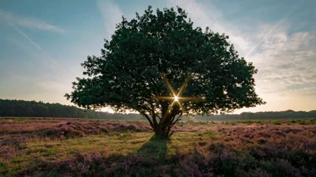 Спокойная музыка для сна, спокойная медитация, сон. смотреть онлайн