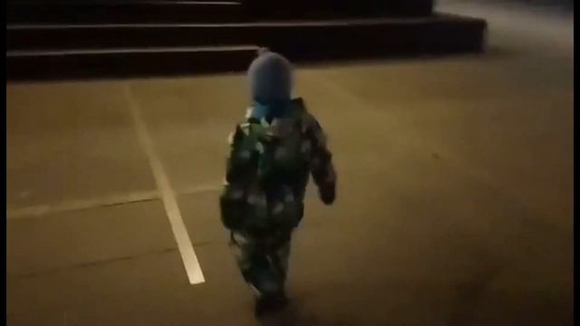 Влог Замерзли на улице Вечерняя прогулка Розовые розы смотреть онлайн