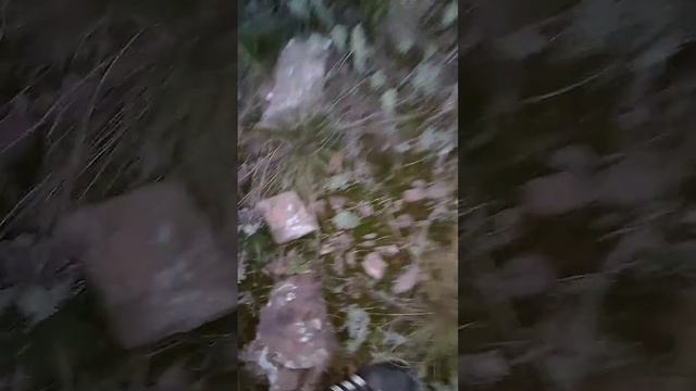 Новый поход на гору "Сивый камень", смотрите что там есть? смотреть онлайн