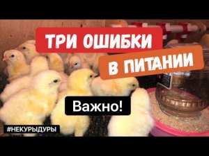 Перевели бройлера на новый корм.