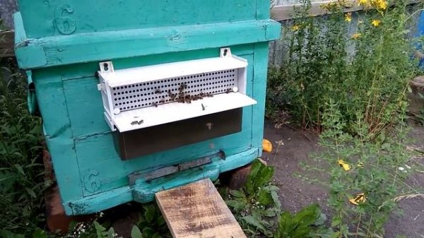 4Установка пыльцесборника