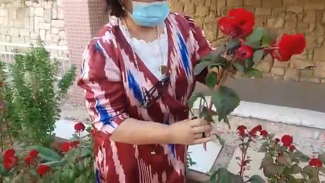У сестры Сони цветочная клумба возле дома. 1 смотреть онлайн