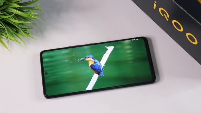 iQOO NEO 6 Unboxing, Camera & BGMI Graphics Test ? | Mr Technical смотреть онлайн