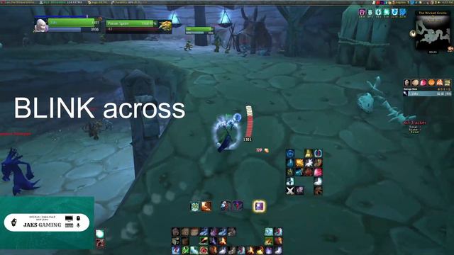 Wow Classic • Mara Boost • Mara 1 Pull • 180 Mobs • Best Guide Ever • Powerlevel • Gold Farm