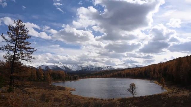 АЛТАЙ видеоролик смотреть онлайн