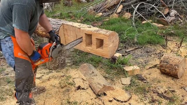 Newest student to learn the art of chainsaw смотреть онлайн