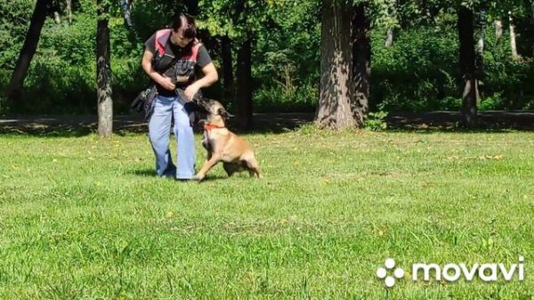 малинуа 5 месяцев