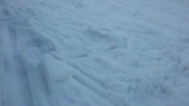 dingo t125 смотреть онлайн