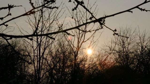 Весеннее утро в деревне. Звуки деревни. Медитация, расслабление, покой. смотреть онлайн