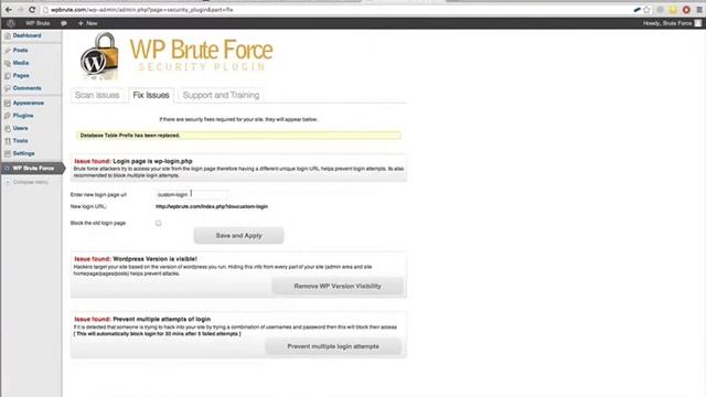 WordPress Brute Force - Protection Against Attacks With A Plugin смотреть онлайн