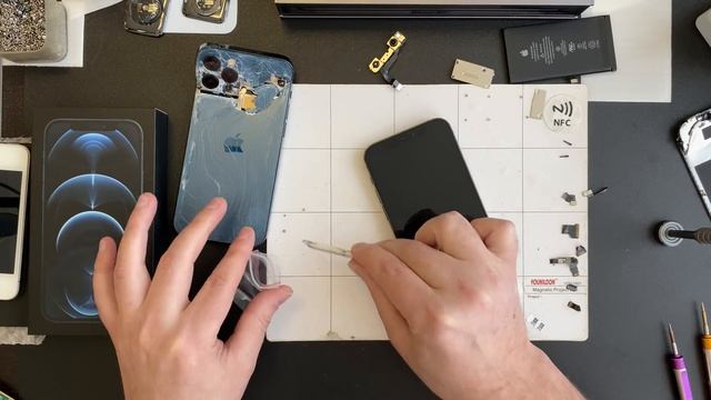 Двенашичьий исход! смотреть онлайн