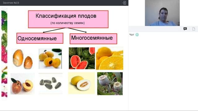 Онлайн-школа СПбГУ 2021/2022. 7 класс. Биология. 29.01.2022 смотреть онлайн