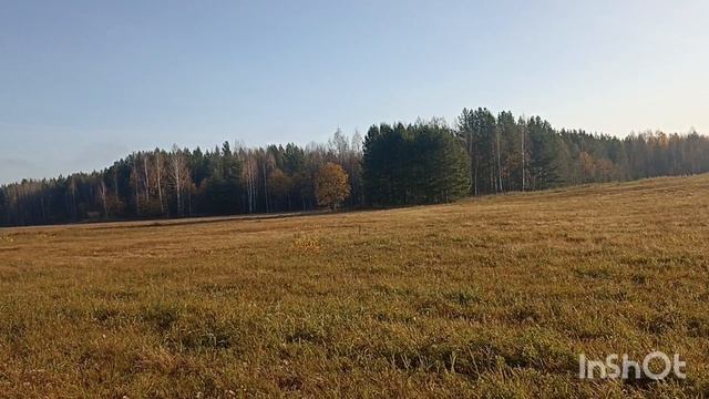 В октябре за грибами.. смотреть онлайн