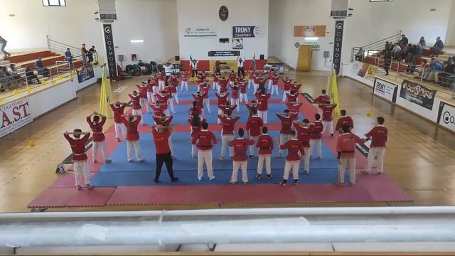 STAGE WARPEDO ? LIVE ? ? #warpedo #live #stage #competition #martialarts смотреть онлайн