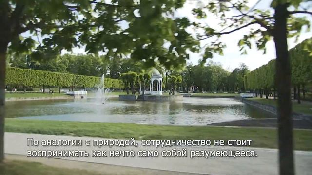Interreg 30 – видеопоздравление от мэра Таллинна Михаила Кылварта смотреть онлайн