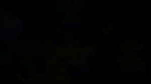 Aquarium 4K VIDEO ULTRA HD 🐠 The Best 4K Sea Animals For Relaxation & Relaxing Music #17