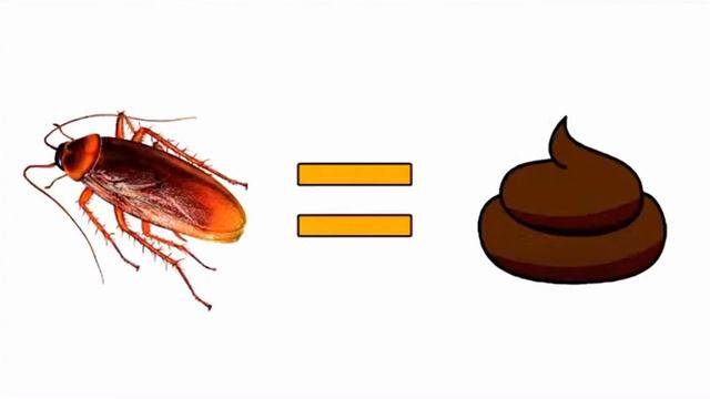 ТАРАКАНЫ ГОВНО! [ШЛАК]