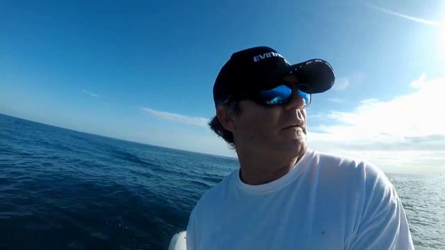 Catching STONE CRABS in South Florida смотреть онлайн