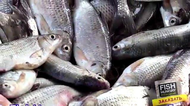 Активатор клева Fishhungry голодная рыба