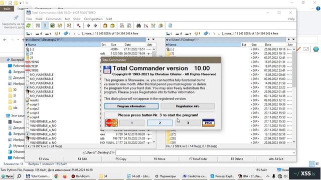 ВВЕДЕНИЕ В РЕВЕРСИНГ С НУЛЯ С ИСПОЛЬЗОВАНИЕМ ИДА ПРО. ЧАСТЬ 34 смотреть онлайн