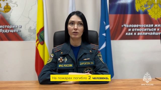 Сводка происшествий с 22 по 28 января 2024 года смотреть онлайн