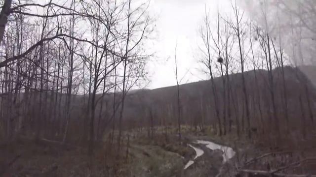 Царские врата смотреть онлайн