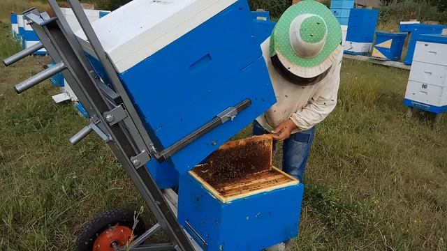 Пасечная тележка-подъемник Апилифт, тачка для ульев из ППУ и из дерева универсальная 4000грн. смотреть онлайн
