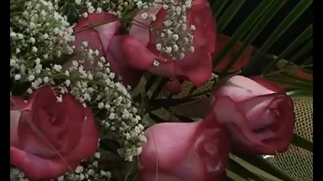 8 марта опрос.mp4 смотреть онлайн