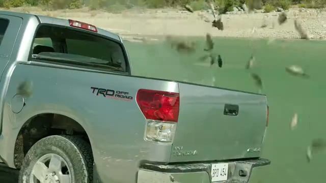 Hilux - отличный улов! смотреть онлайн