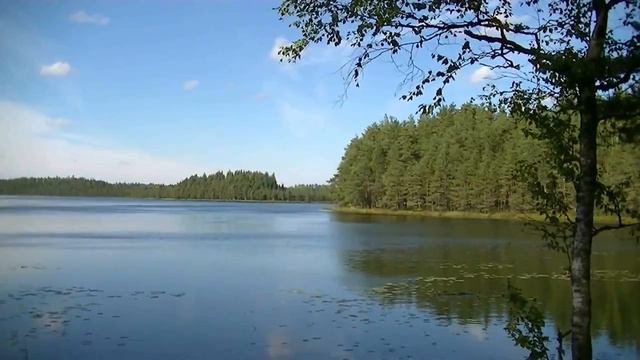 Красивое лесное озеро смотреть онлайн