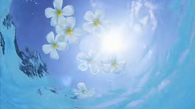 "Маленький принц". facebook смотреть онлайн