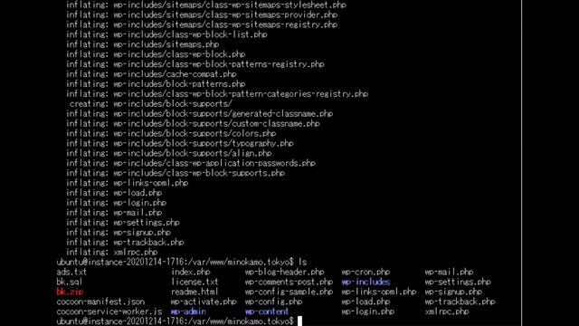 9.WordPressの移行: CentOS7からUbuntu20.04へのステップバイステップガイド смотреть онлайн