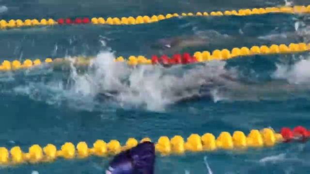 Девочки 2008 г.р. - 50 м баттерфляй (22.03.2019 г., СОГ) смотреть онлайн