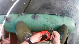 Волга.  Ловля сома на перемет.