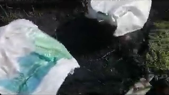 МОЯ ДАЧА//ОТКРЫВАЮ РОЗЫ//ВЗОШЛА РЕДИСКА смотреть онлайн