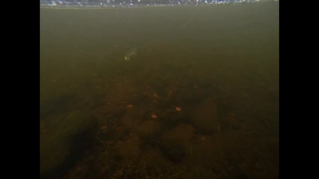 Рыбалка на притоках реки Енисей. Рыбалка на Енисее. смотреть онлайн